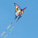 Kite flying