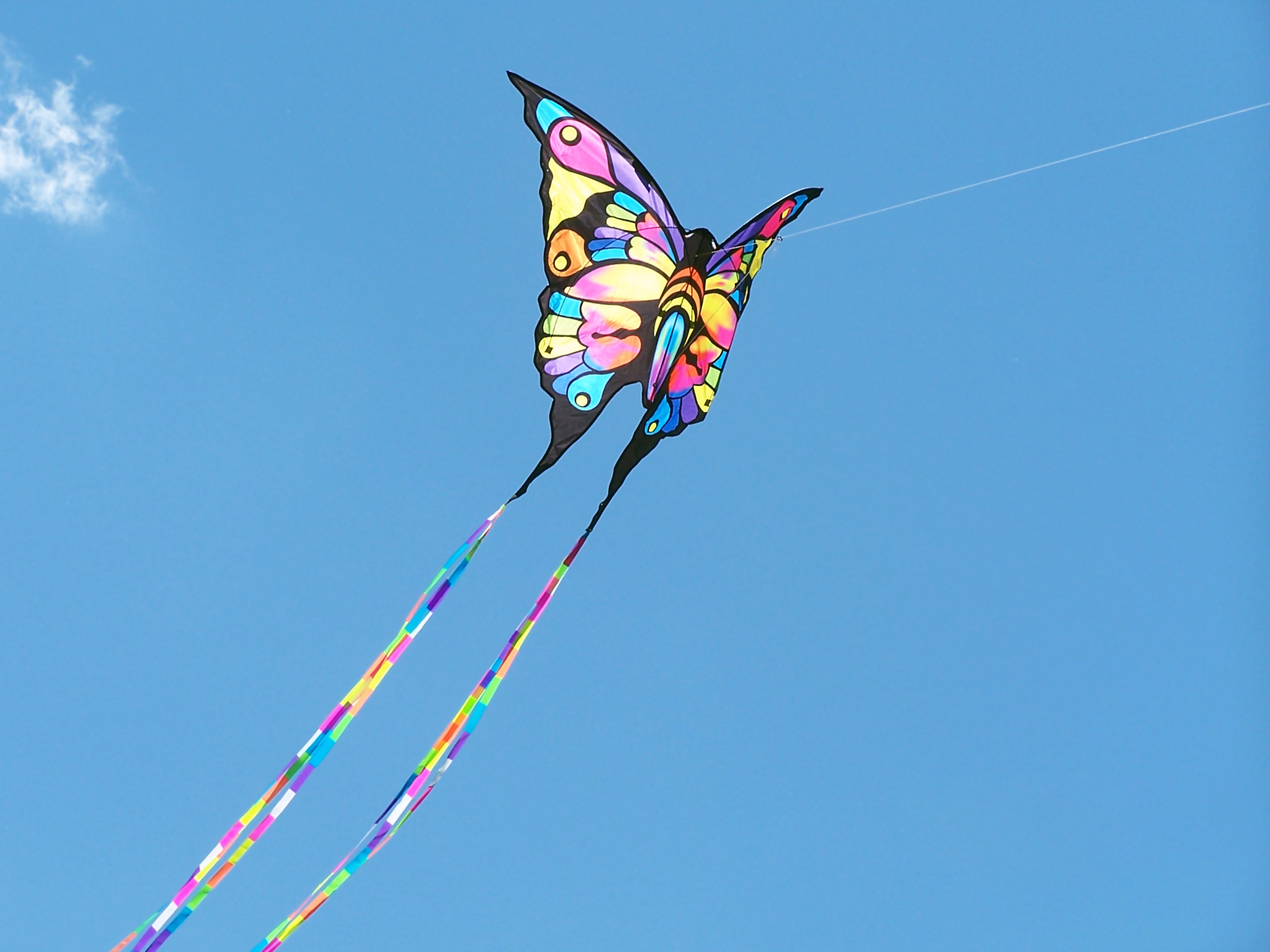 Fly a kite at low tide